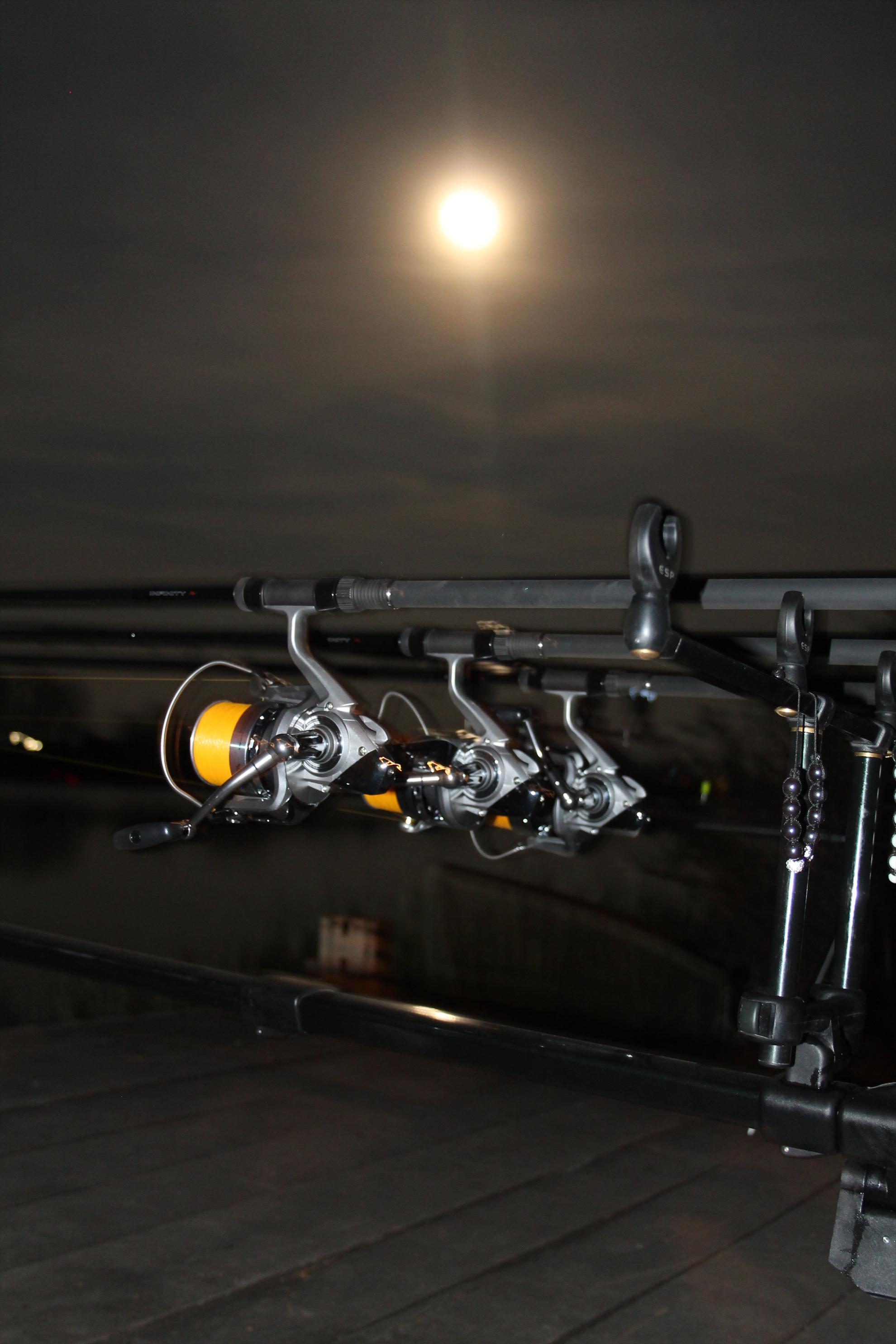 My new passion...3 - nagykallo-aprilie2013-070.JPG